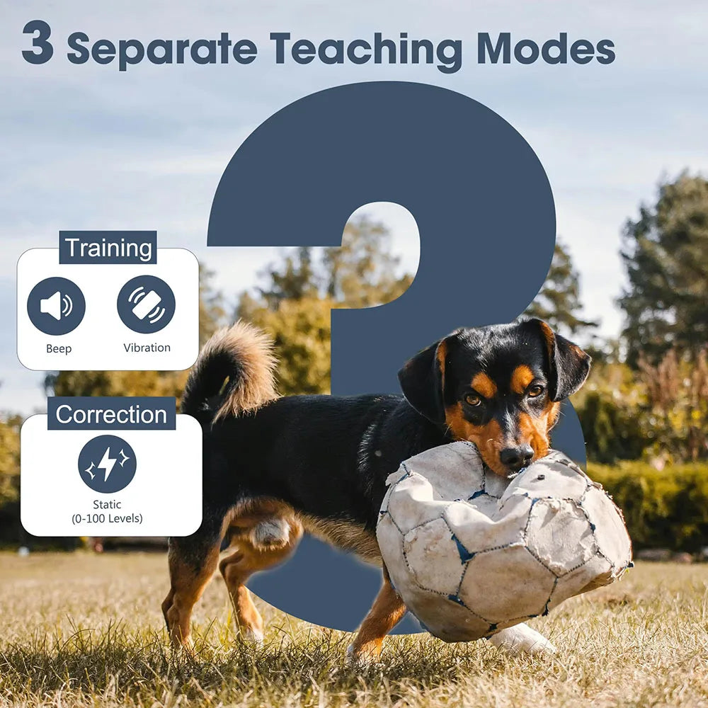 PETRAINER® PET625 Remote Dog Training E-Collar 1600m 1-2 Dogs