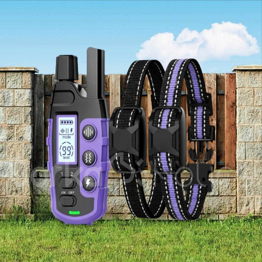 RS2 Remote Dog Training Collar 1-2 Dogs 1000m