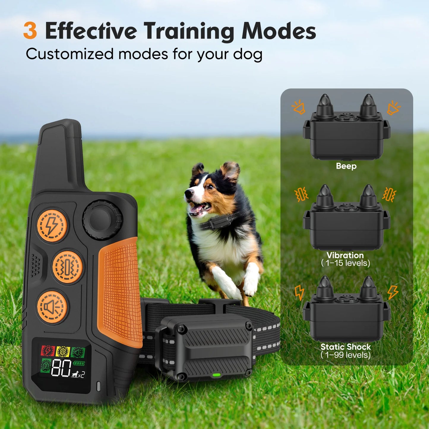 PETRAINER® PET500 Remote Dog Training E-Collar 600m 1-2 Dogs