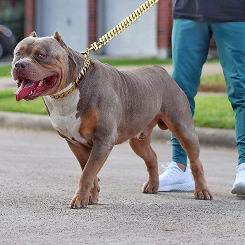 32mm Stainless Steel Cuban Link Dog Collar - BARKAHOLICS®