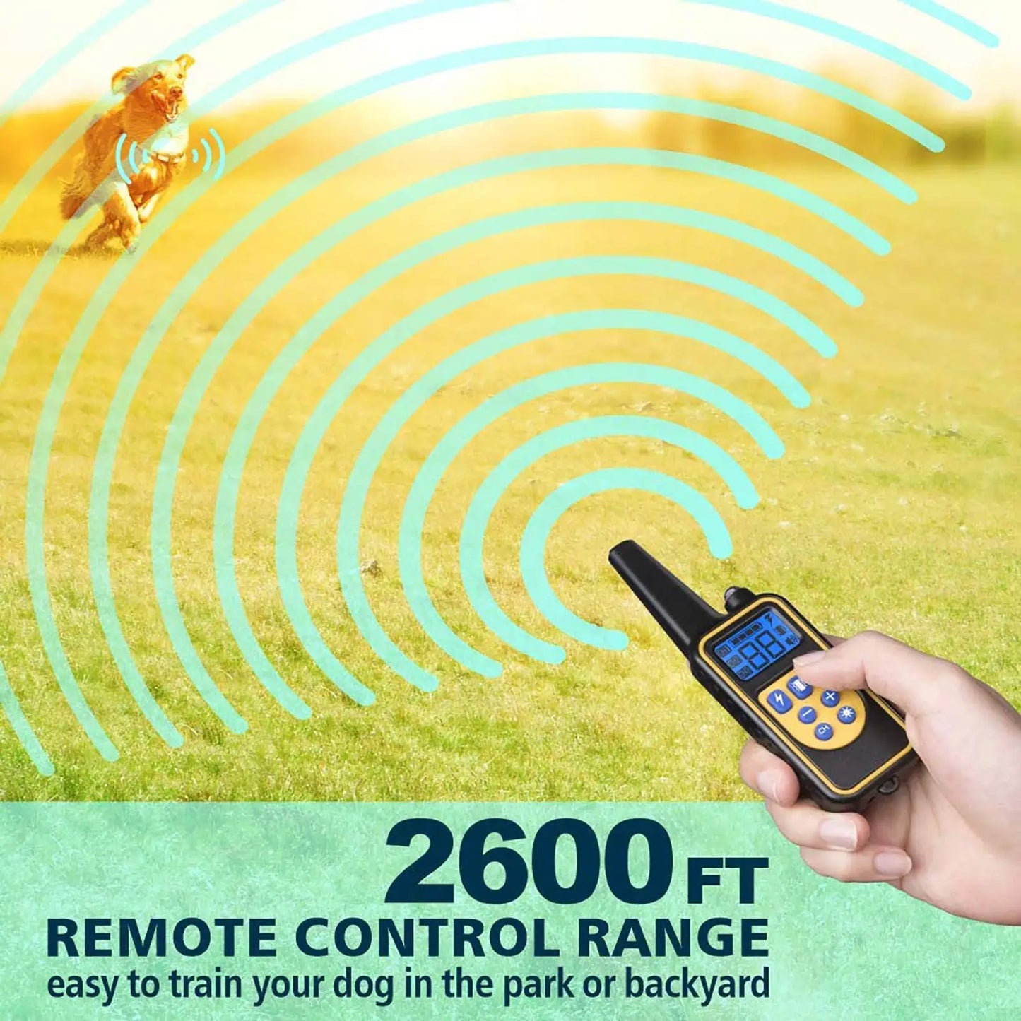 PETRAINER® PET776 Remote Dog Training E-Collar 800m 1-3 Dogs