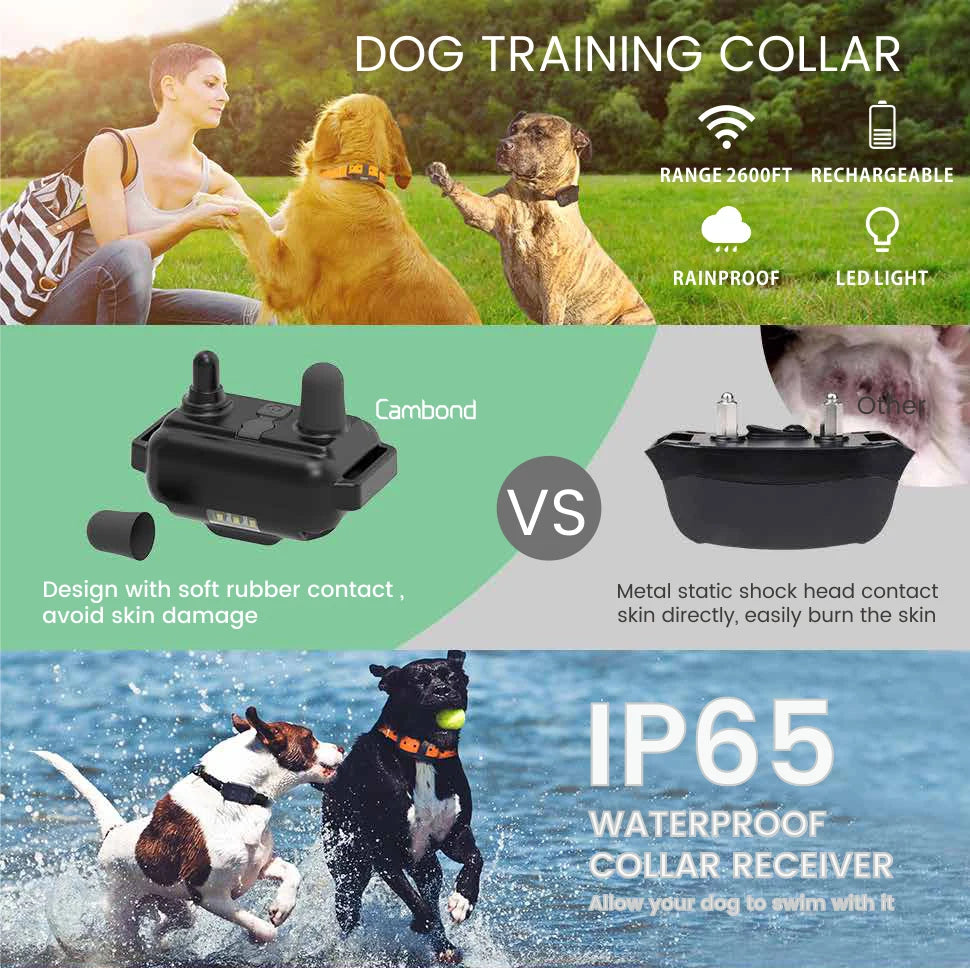 PETRAINER® PET776 Remote Dog Training E-Collar 800m 1-3 Dogs