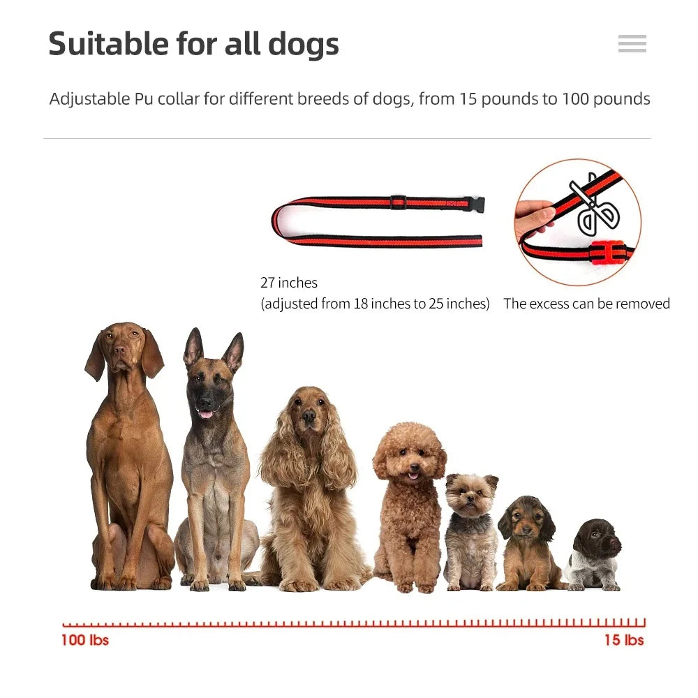 PETRAINER® PET150 Remote Dog Training E-Collar 500m 1-2 Dogs