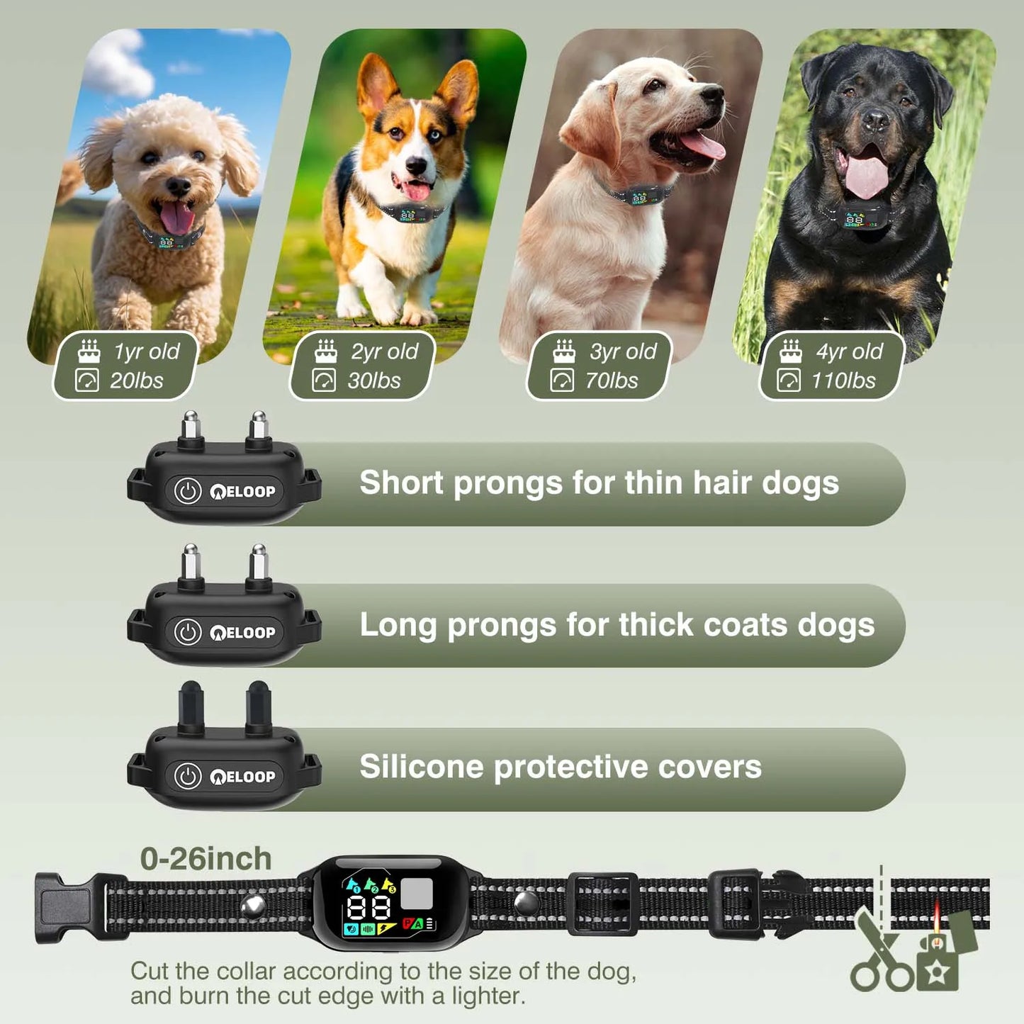 2-in-1 Anti-Bark and Remote Dog Training Collar 1-2 Dogs 1000m PET513